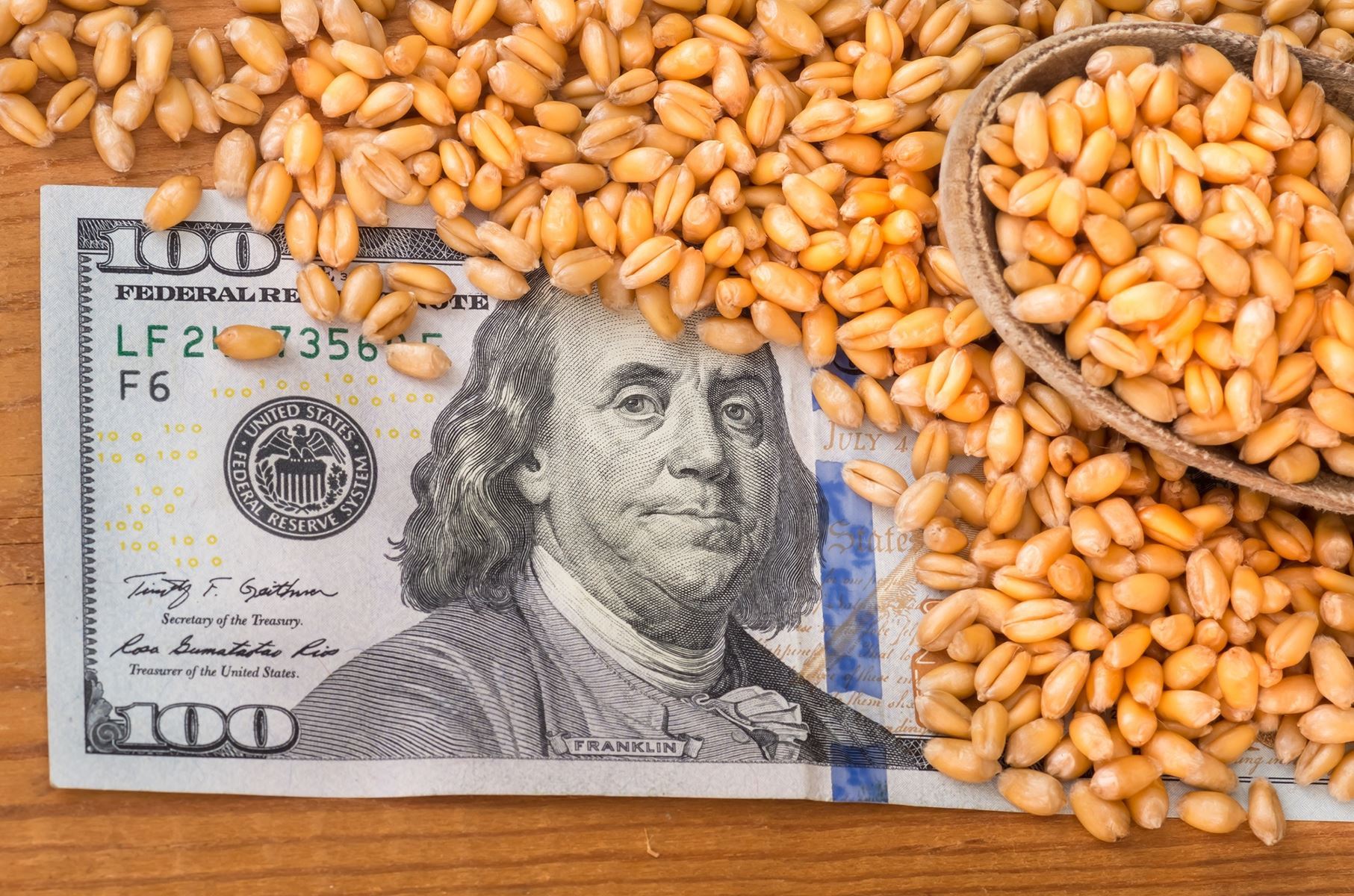 Money under corn