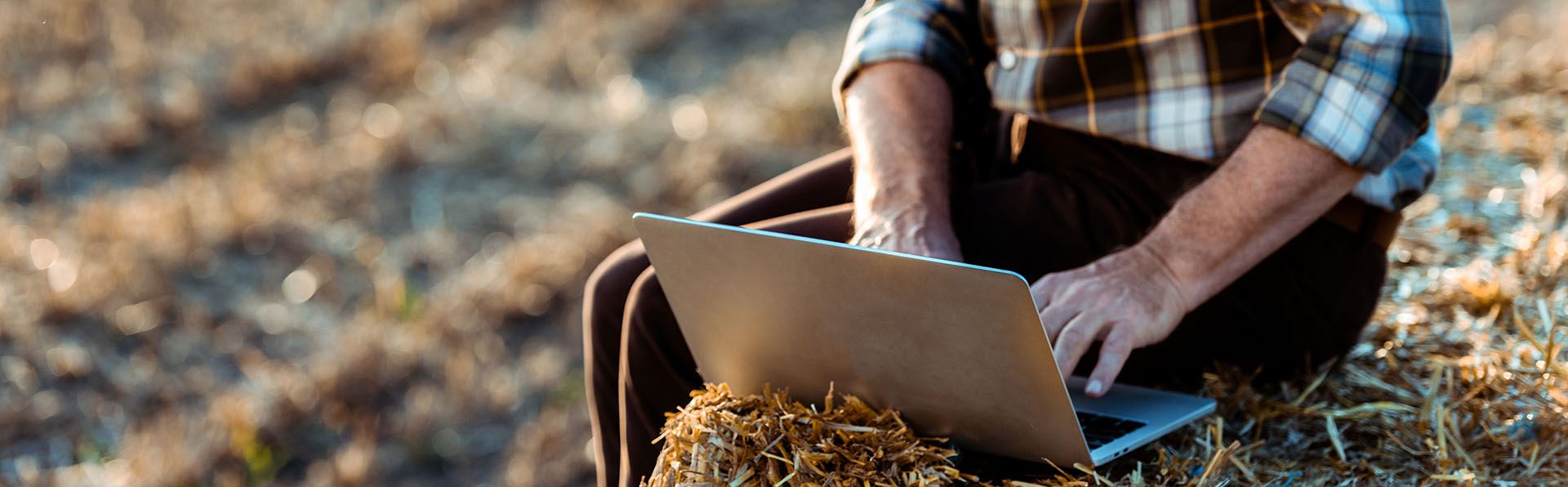 man sitting on haybale working on laptop