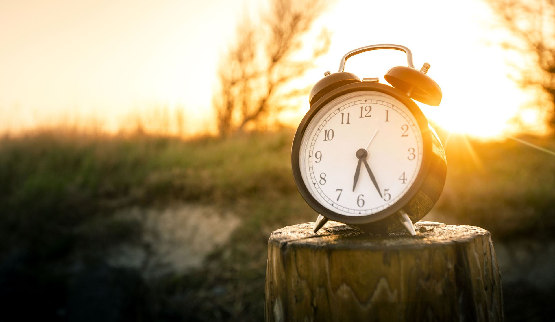 analog alarm clock sitting on a stump