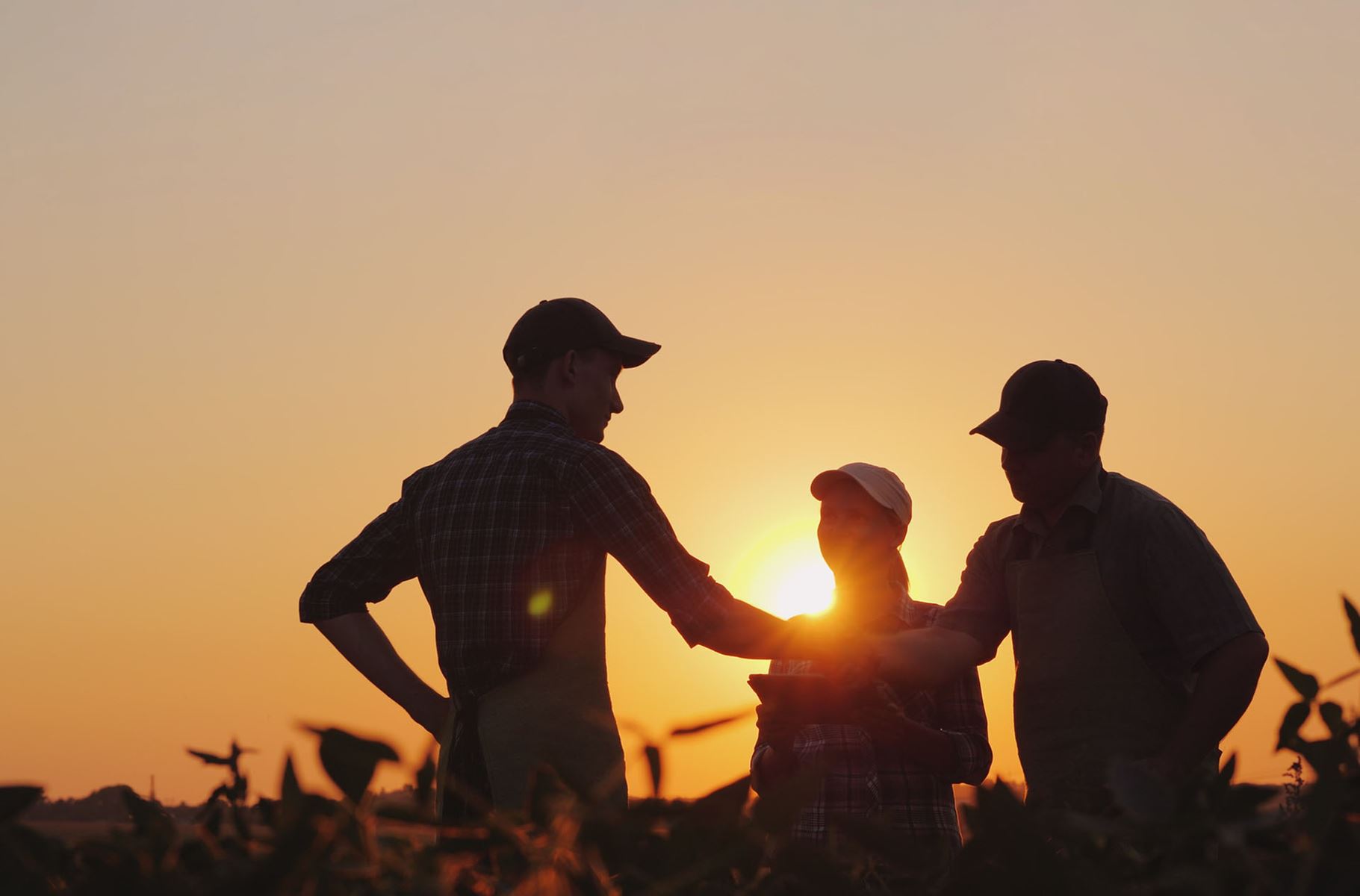 group of farmers shaking hands in a field