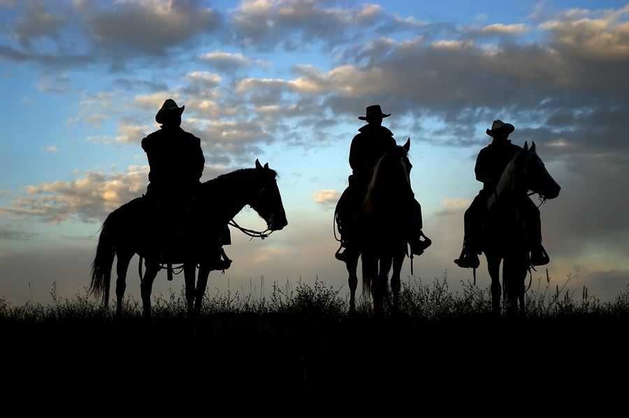 cowboys on horse