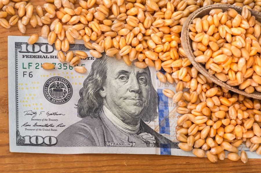 corn on money