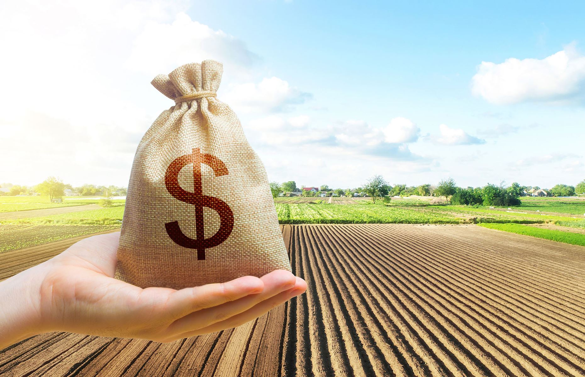 hand holding a gunny sack with a dollar sign on it. Plowed field in the background