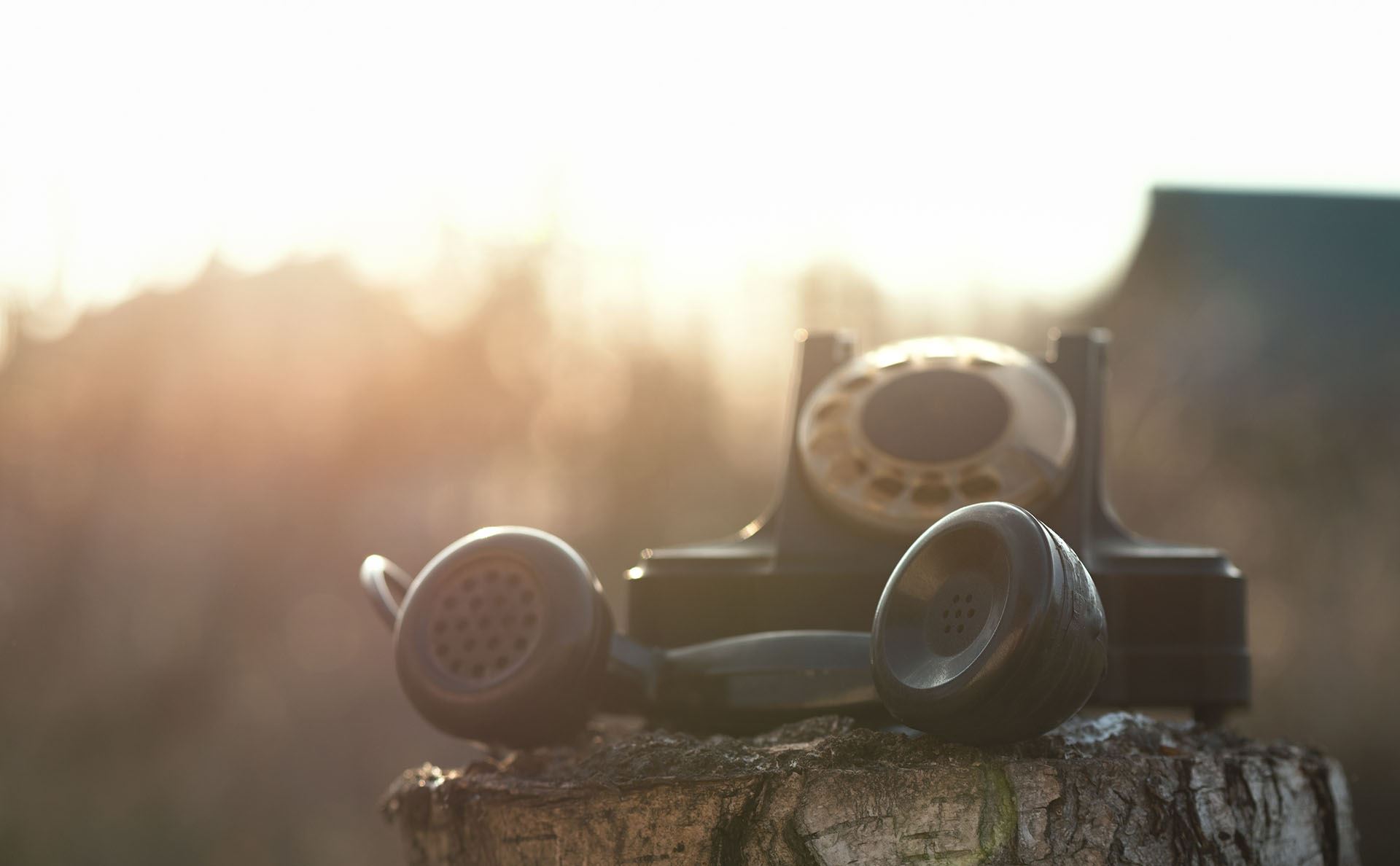 rotary telephone sitting on a tree stump